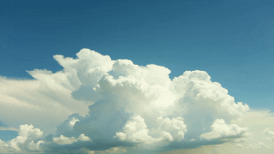 5 Common Website Myths Holding Your Online Store Back
